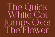 CS Nevada – Art Nouveau Font, a Serif Font by Craft Supply Co. (Thumbnail 2 of 8)