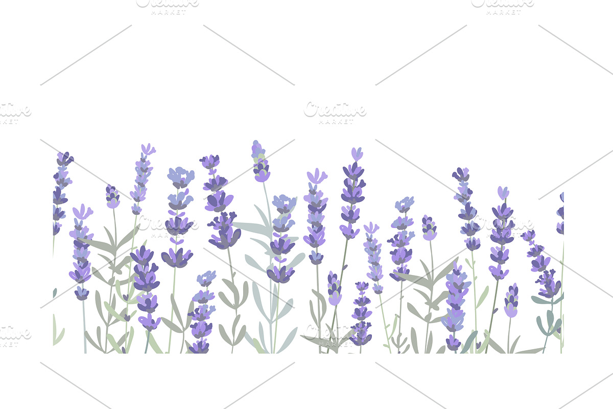 Lavender flowers border seamless, an Object Illustration by Toltemara