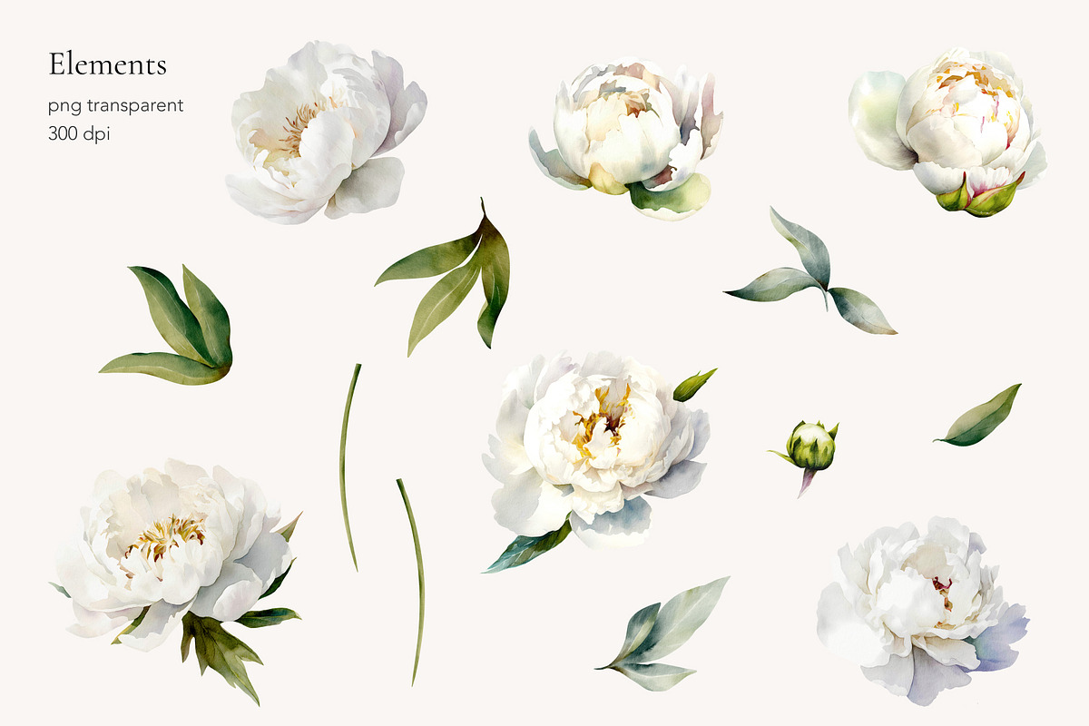 -30% Watercolor Peony Collection, an Object Illustration by bloomscape (Photo 3 of 8)