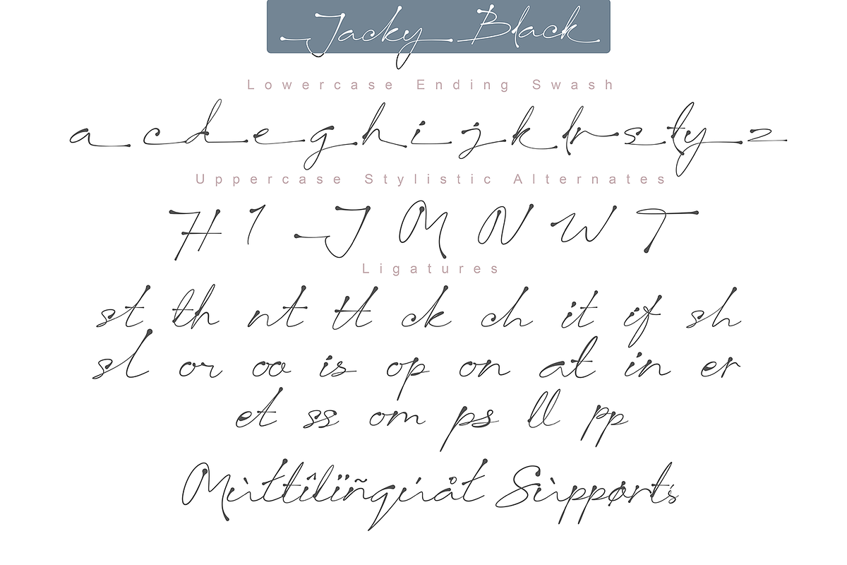Jacky Black | Handwritten ink style, a Script Font by DiosiArt (Photo 9 of 10)