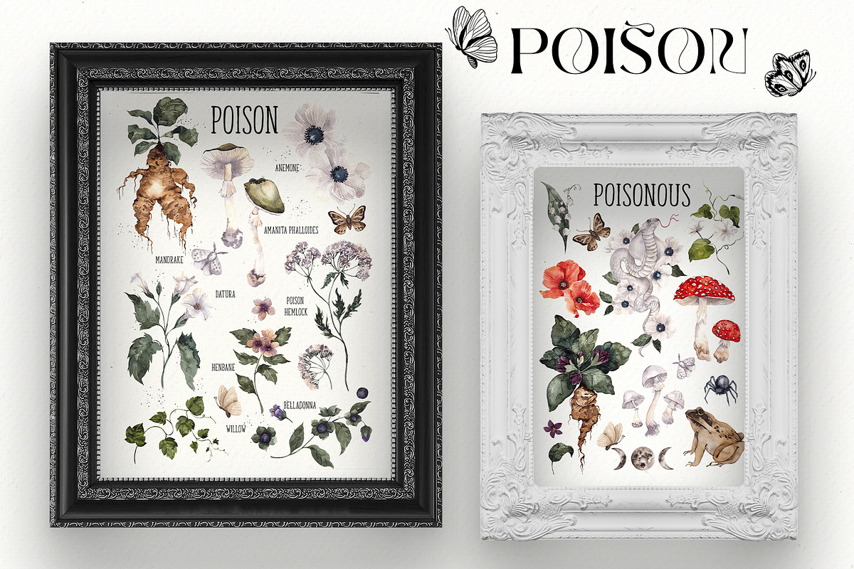 Poison. Watercolor and line art., an Object Illustration by ma_i_vi (Photo 4 of 12)