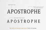 Vintage Serif Font Apostrophe, a Serif Font by pixelcolours (Thumbnail 4 of 15)