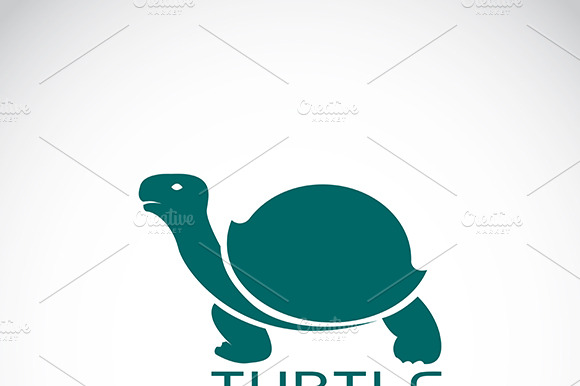 Vector Of A Turtle Design. Animal.