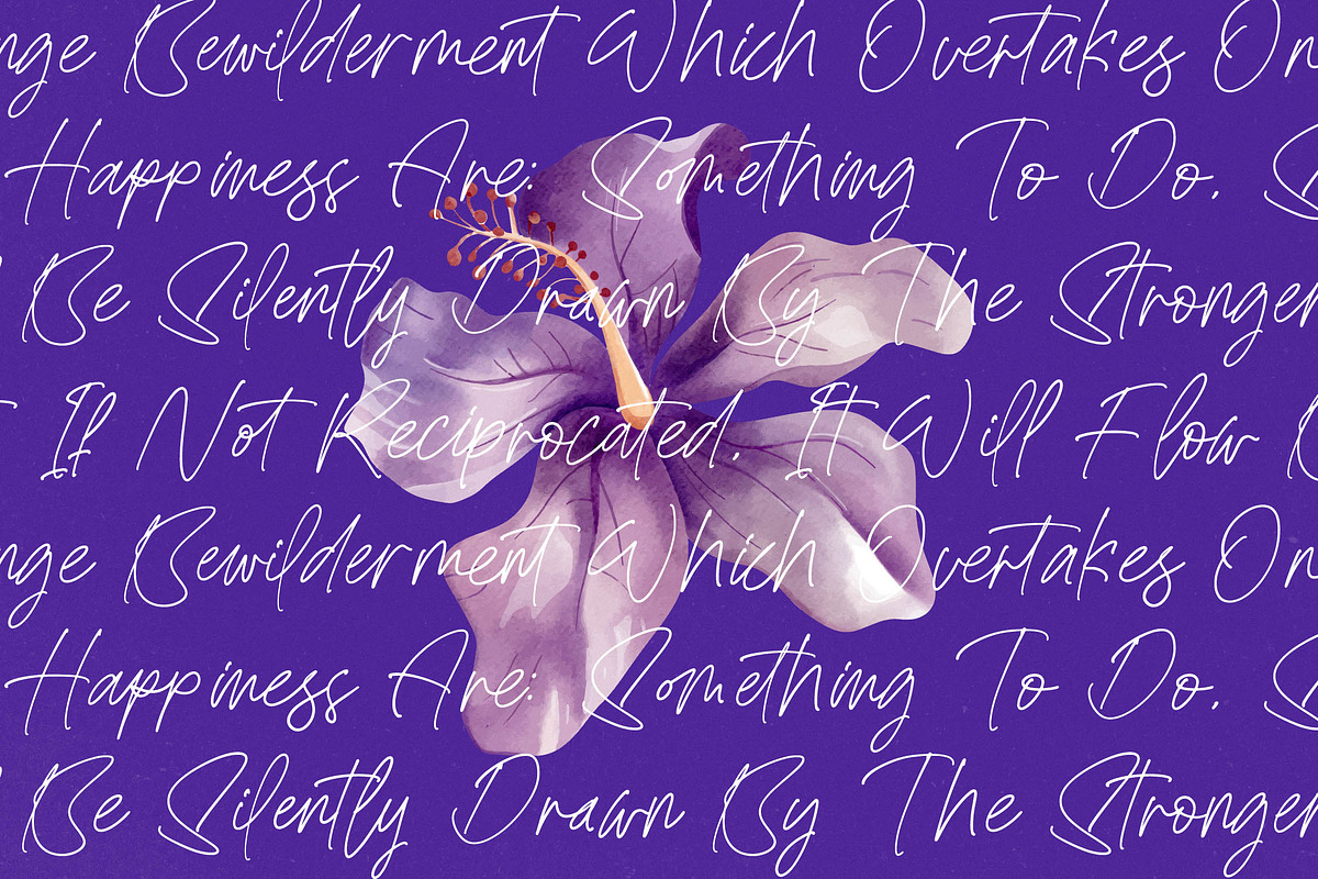 Bestnight Tropicals Ballpoint Script, a Script Font by stylishtype.co (Photo 11 of 20)
