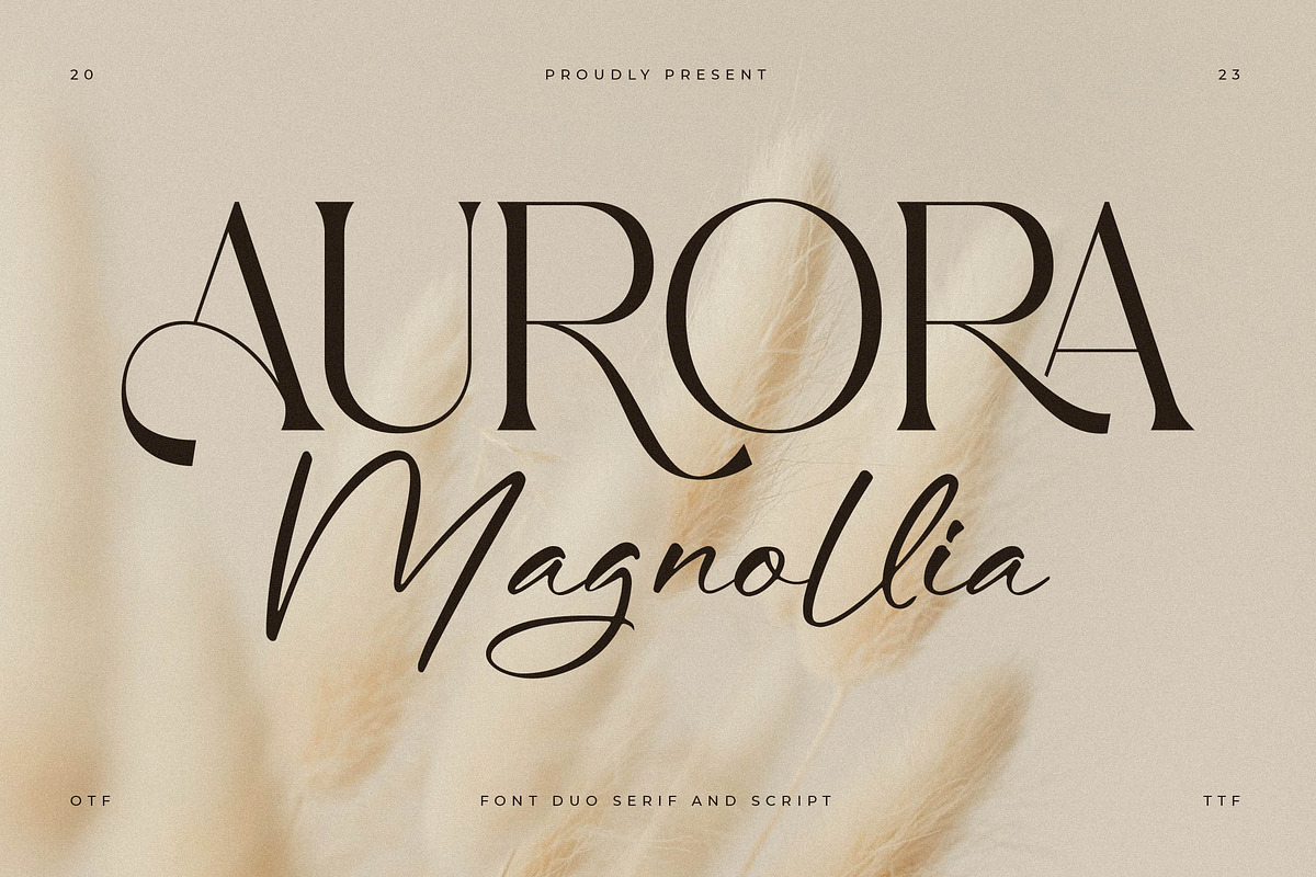 Aurora Magnollia Font Duo, a Serif Font by Storytype Studio (Photo 1 of 15)