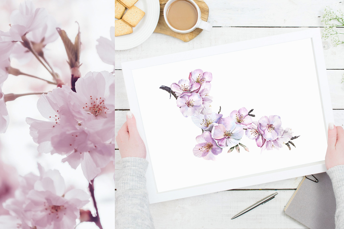 Cherry Blossom Watercolor, a Decorative Illustration by Olga Koelsch (Photo 4 of 9)