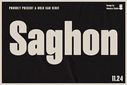 Saghon - Modern San Serif, a Sans Serif Font by Almeera Std (Thumbnail 1 of 5)