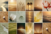 65 Calm Earthy Nature Backgrounds, a Nature Photo by Make Stories Studio (Thumbnail 4 of 5)