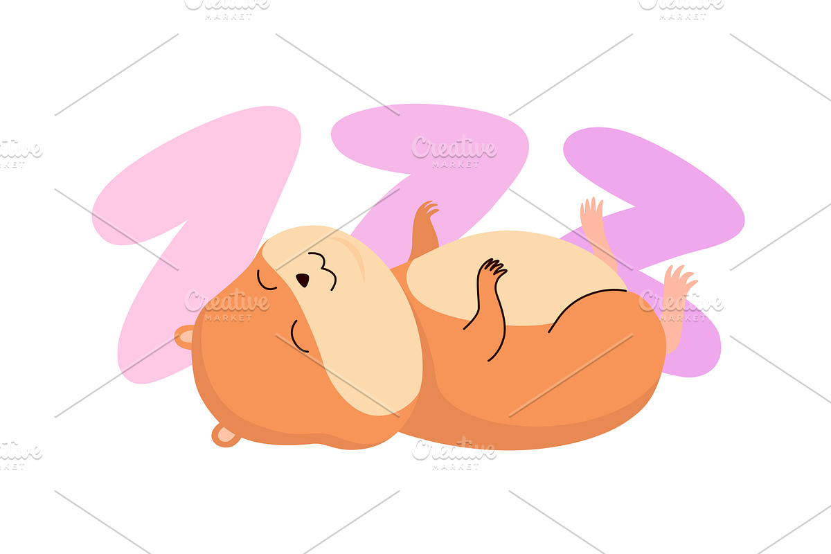 Cartoon hamster. Fluffy domestic pet, an Animal Illustration by the8monkey