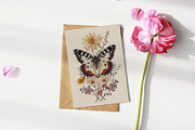 Insects | Vintage posters, a Graphic by katieromanoff_art (Thumbnail 6 of 12)