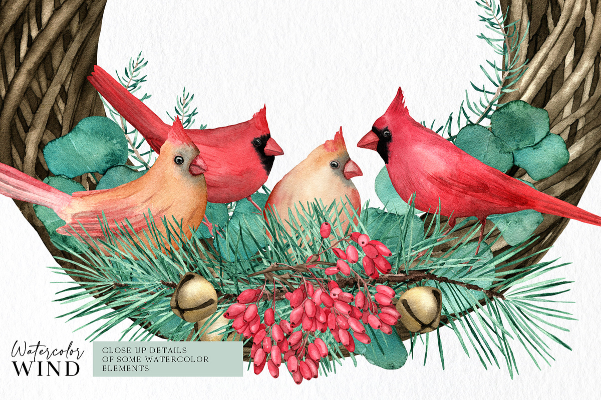 Christmas Teal Clipart Cardinal Bird, an Illustration by Ksenia Shmakova (Photo 11 of 16)