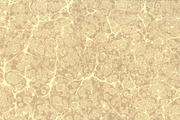 3 Hand Marbled Papers Flyleaf, a Texture Graphic by Marblingdom (Thumbnail 5 of 5)