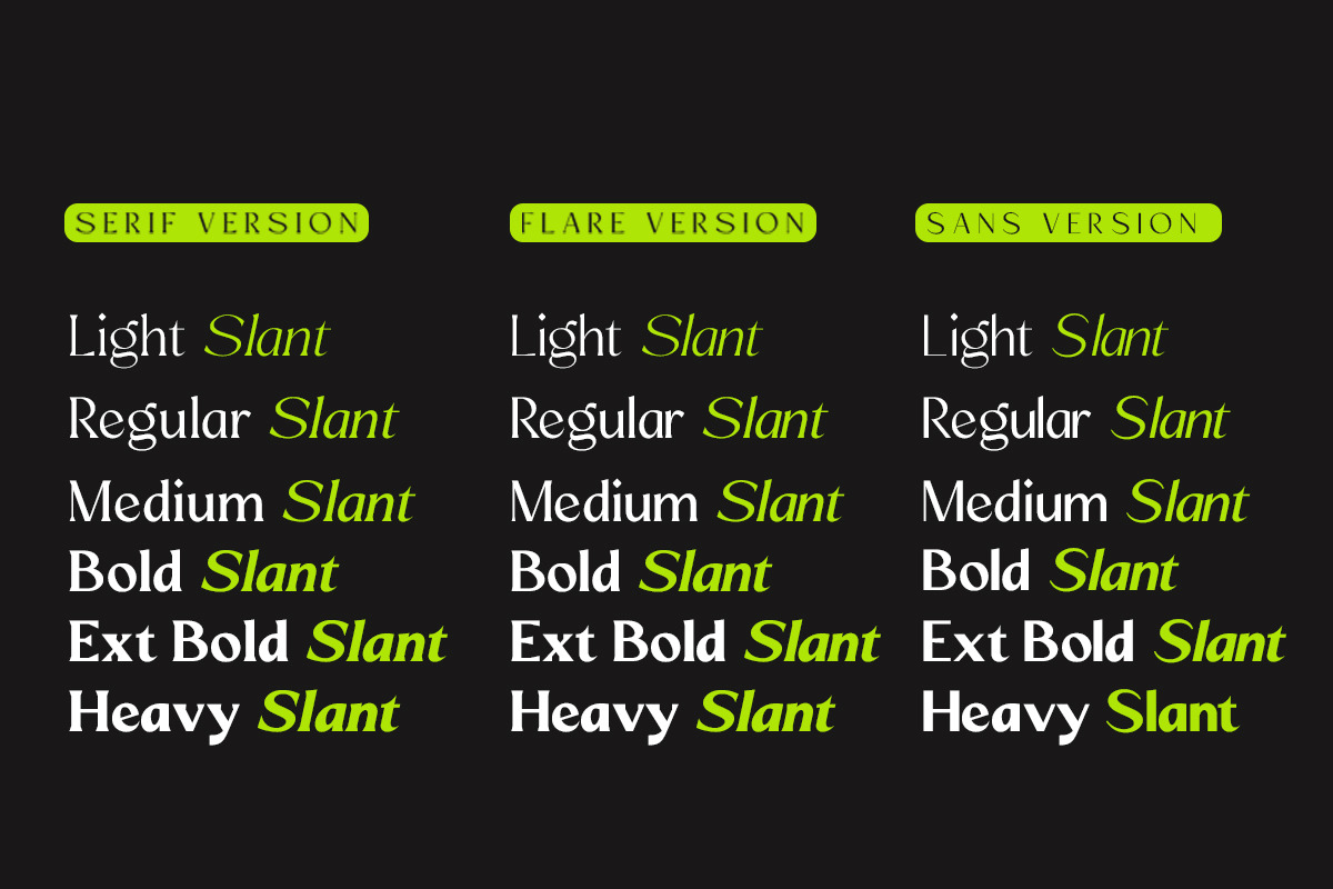 Mizhon | 36 Fonts, a Serif Font by Skinny Type (Photo 2 of 15)