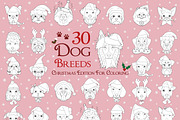 Christmas 60 Dog Breeds for Coloring, an Animal Illustration by asantosg (Thumbnail 2 of 9)