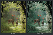 20 Wildlife Lightroom Presets & LUTs, a Preset Add-On by SparkleStock (Thumbnail 3 of 9)