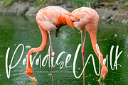 Flesmingo, a Handwritten Font by Integritype Studio (Thumbnail 12 of 15)