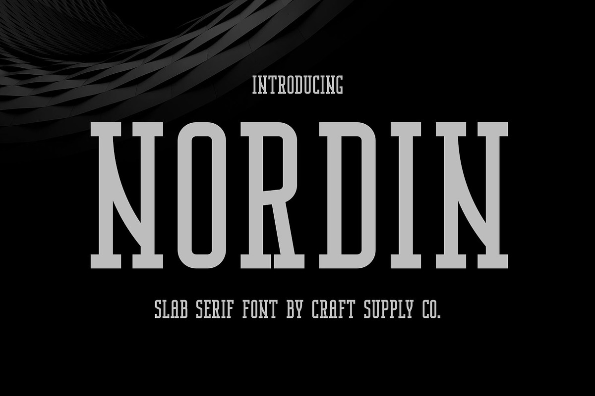 Nordin Slab - Condensed Slab Serif preview 2