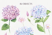 SALE! Watercolor Hydrangea, an Illustration by Irina Diasli (Thumbnail 2 of 9)