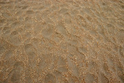 Multicolored sand on the seashore, a Background Photo by Schreibikus (Thumbnail 2 of 4)