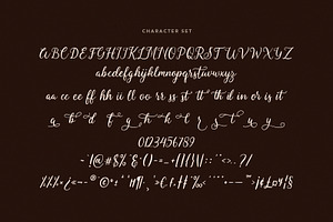 Fallisanta Flourish Font