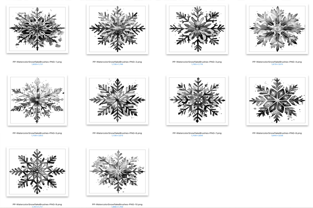 Watercolor Snowflake Brush for PS/PR, a Brush Add-On by Polka Dot Pixels (Photo 2 of 2)