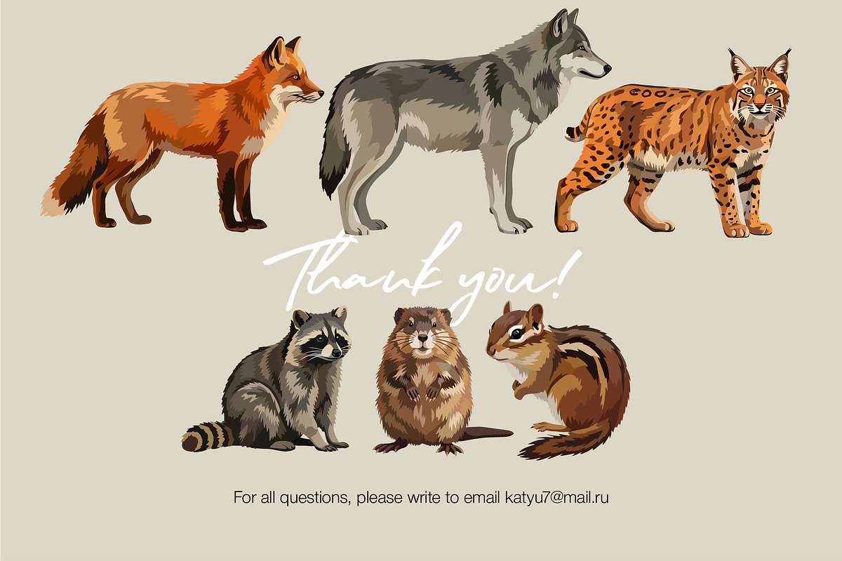 Animals of North America Vector Set, an Animal Illustration by Katerina Peres (Photo 8 of 8)