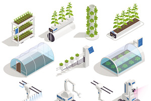 Greenhouse Isometric Elements