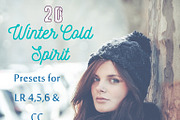 Pack 20 LR Presets Winter time, an Action Add-On by Presets Light Shop (Thumbnail 1 of 4)