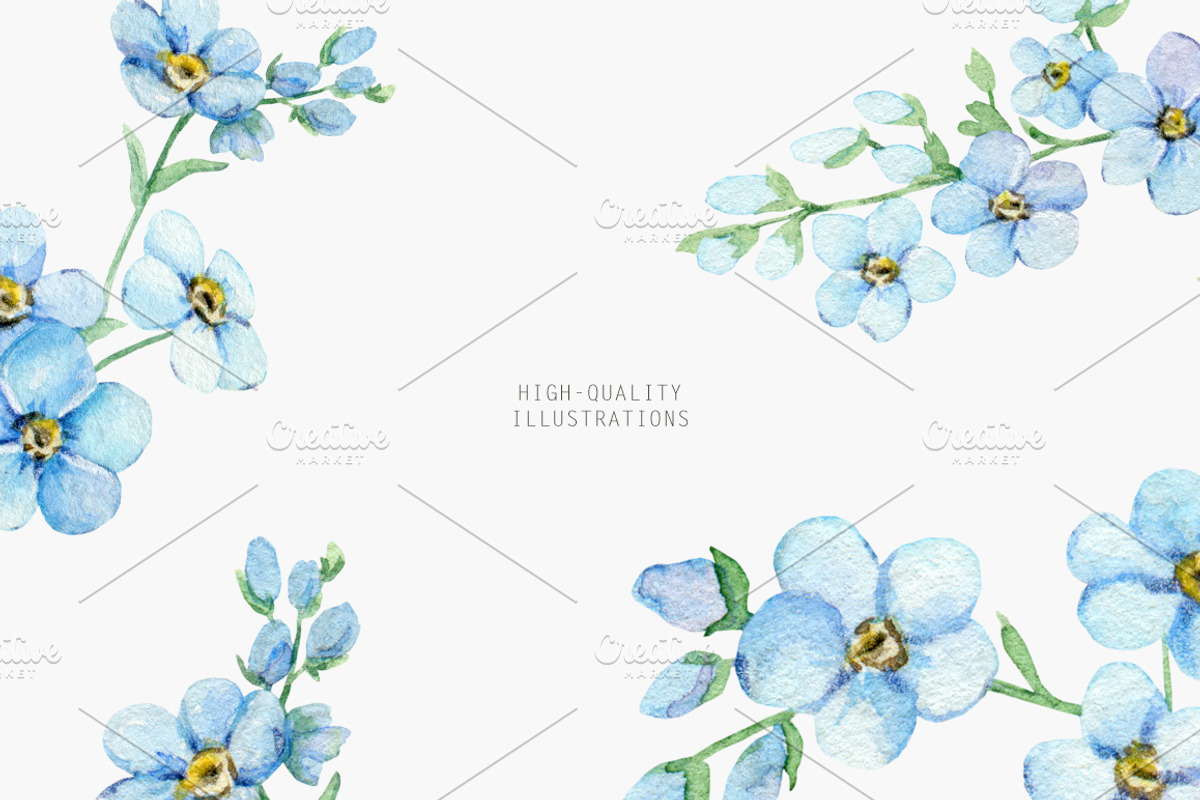 Forget Me Not Watercolor Clipart, an Illustration by Daryartsy (Photo 8 of 8)