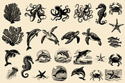 Vintage Coastal Travel Illustrations, an Object Illustration by Nocturnal Wolf (Thumbnail 26 of 27)