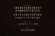 Maverick Luxury Serif Font, a Serif Font by Perfectype (Thumbnail 7 of 8)
