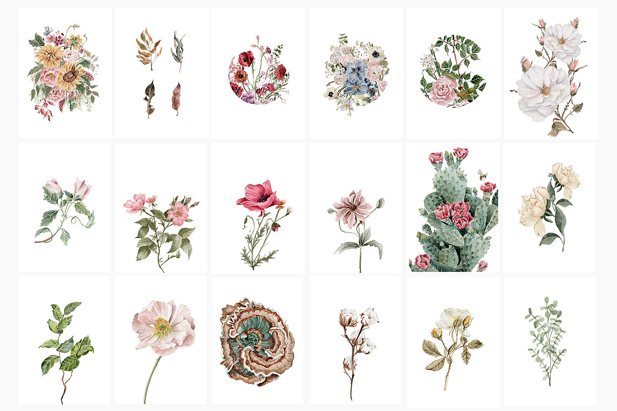 Watercolor floral posters prints, a Decorative Illustration by Grace Noboa Illustrations (Photo 11 of 12)