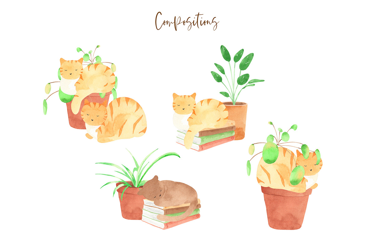 Plants & Cats Watercolor Clipart, an Animal Illustration by natalisart (Photo 9 of 13)