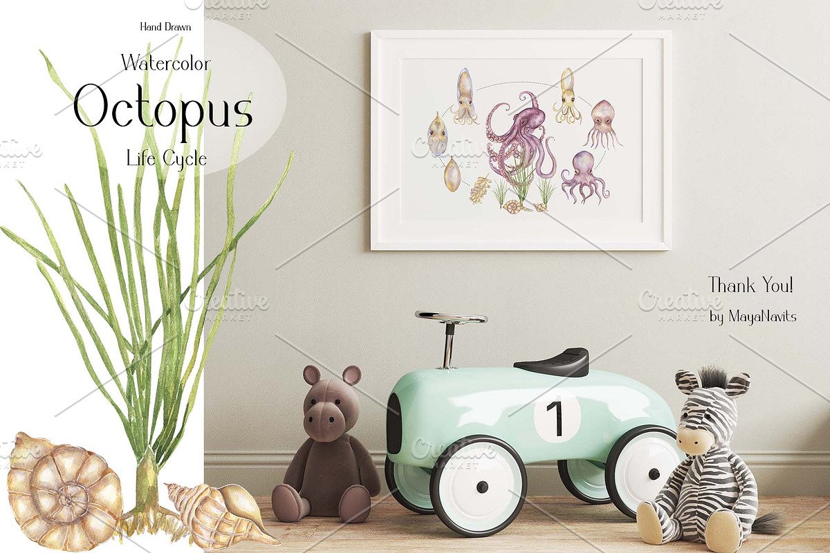Watercolor Octopus Life Cycle Set, an Education Illustration by MayaNavits (Photo 6 of 7)