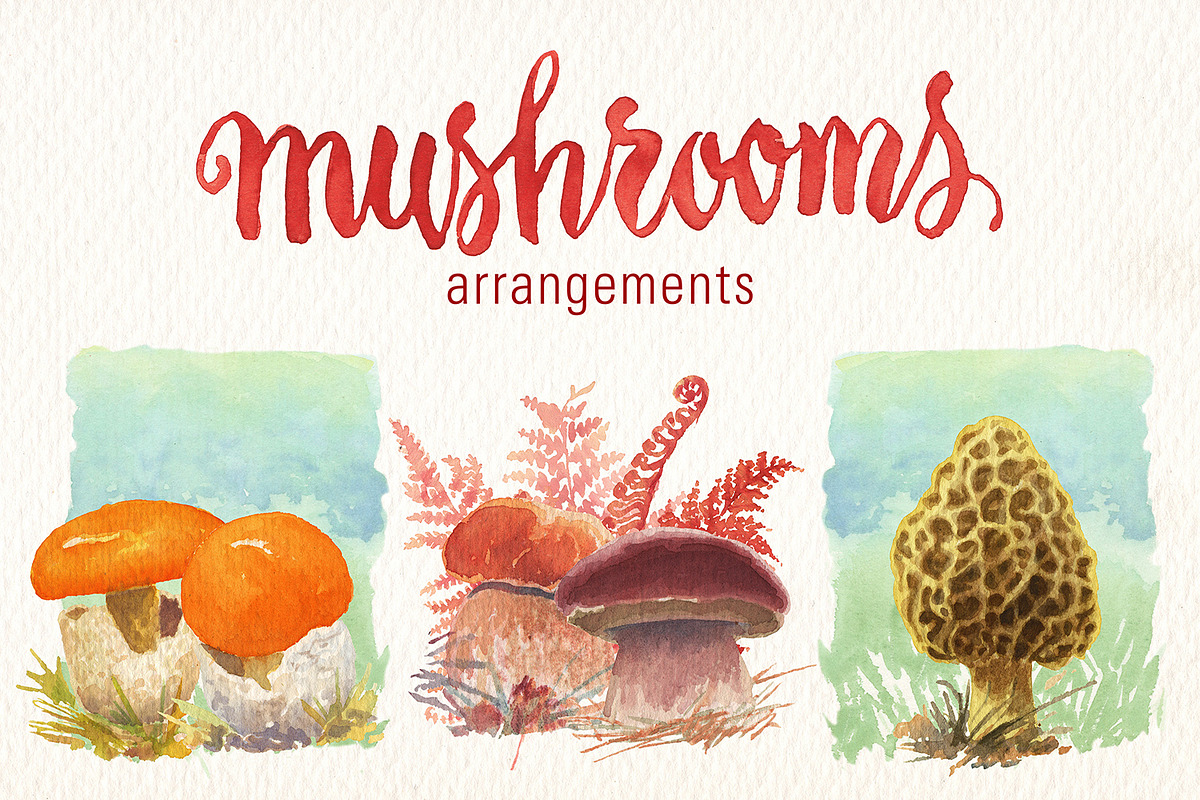 MUSHROOMS WATERCOLOR CLIPART SET, a Food Illustration by Art & Things (Photo 3 of 5)