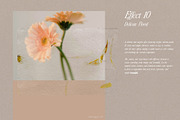 Pressed Flower Paper Effects, a Layer Style Add-On by Kaleriia (Thumbnail 20 of 21)