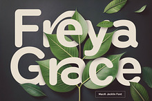 Macro Jecklin Rounded Sans Serif