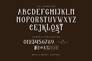 Cilamane Serif Decorative Display, a Serif Font by Maulana Creative (Thumbnail 5 of 7)