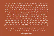 Flusteria Routine Modern Brush Font, a Script Font by stylishtype.co (Thumbnail 19 of 20)