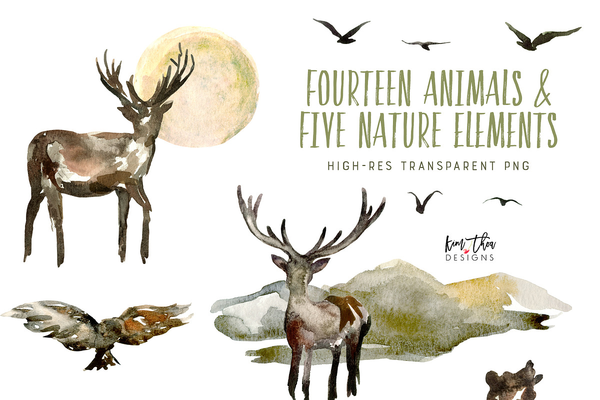 The Great Wilderness Watercolor Set, an Animal Illustration by Kim Thoa Designs (Photo 5 of 8)
