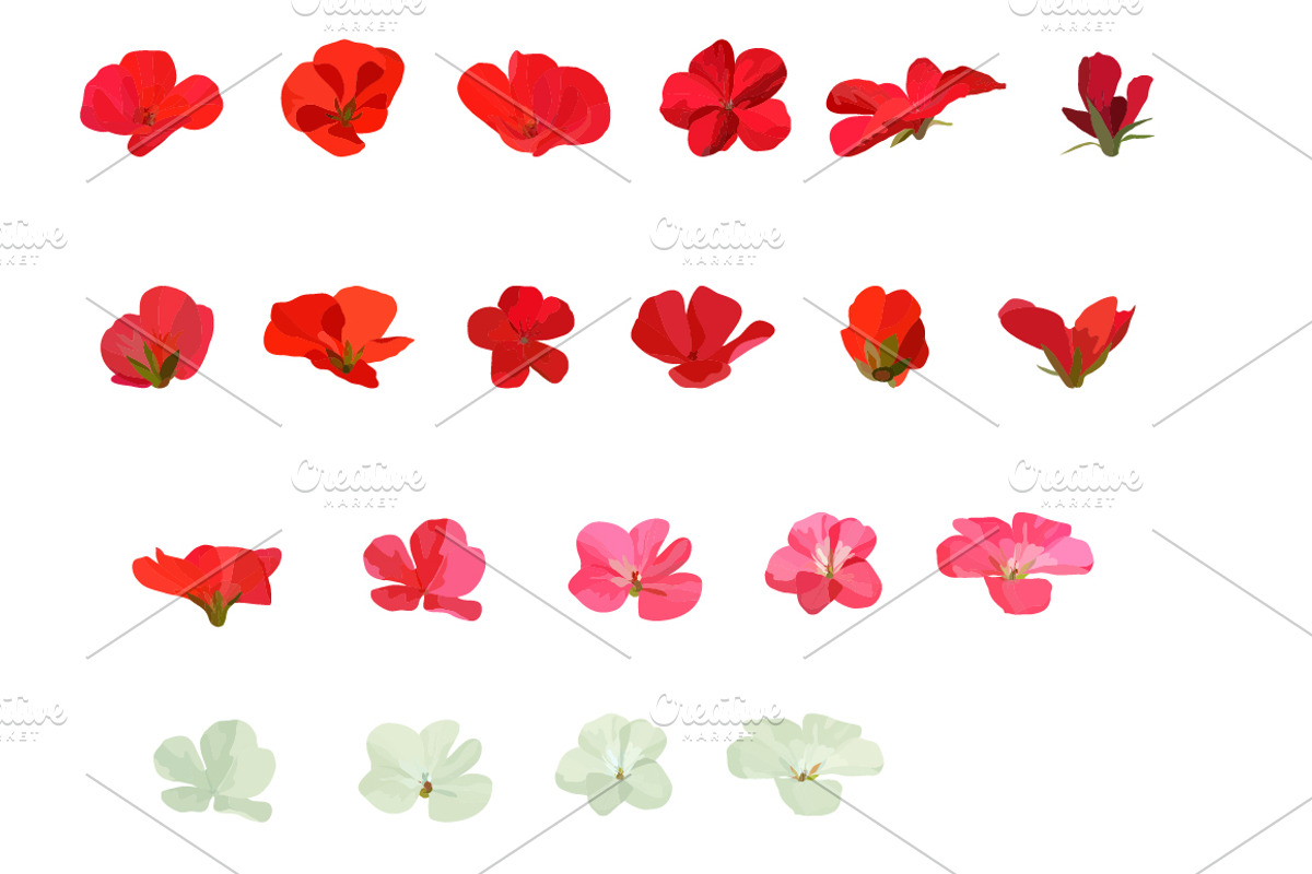 Vector object brushes. Geranium. preview 7