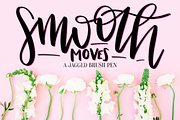 Procreate Lettering Brushes Bundle, a Brush Add-On by Nap Time Design Co. (Thumbnail 4 of 11)