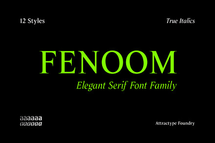 Fenoom Elegant Serif Font