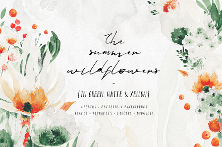 Summer Wildflowers Illustration Pack