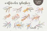 Sea buckthorn clipart and patterns, a Decorative Illustration by Shabbypie (Thumbnail 2 of 7)