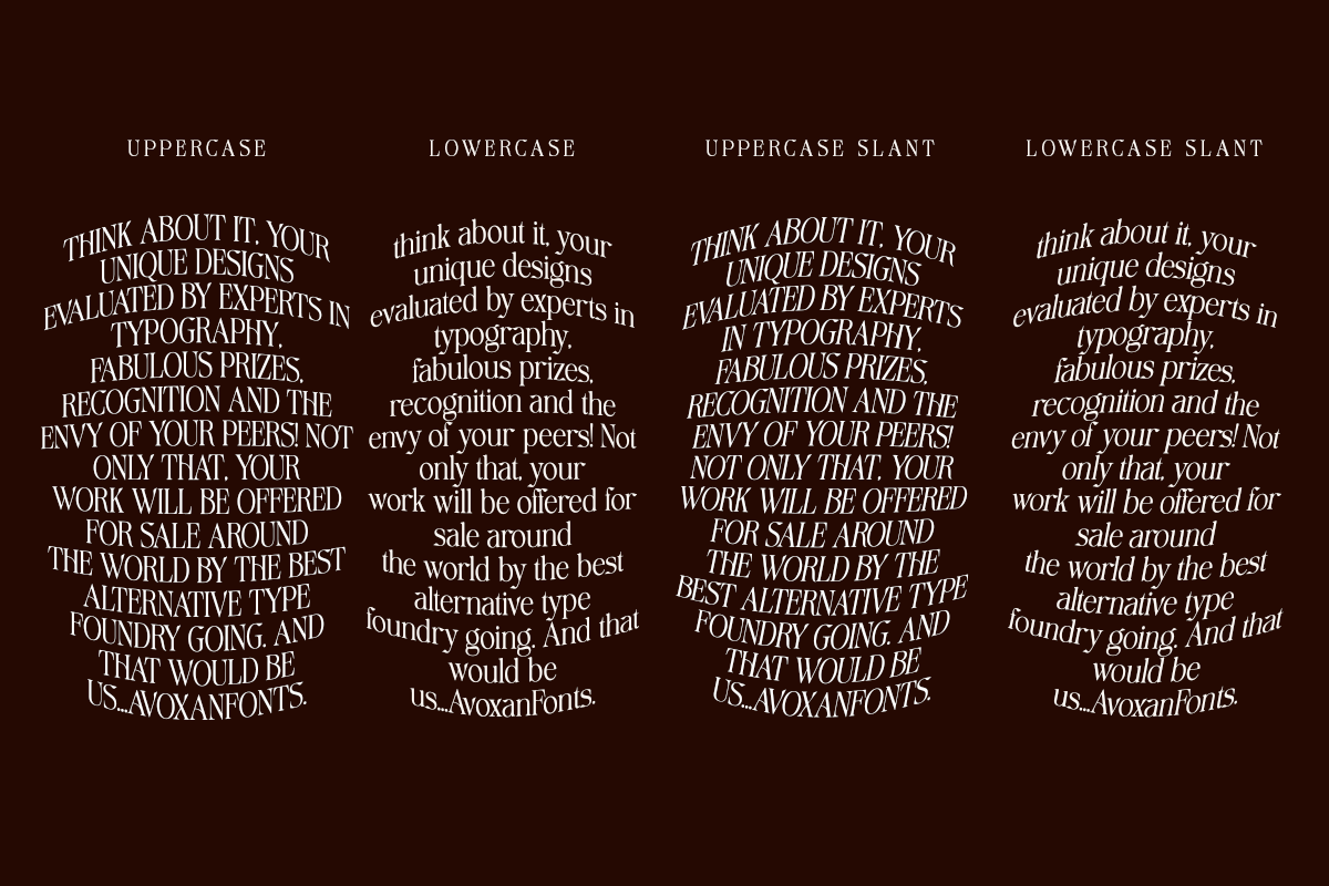 Avoxan, a Serif Font by Pista Mova (Photo 4 of 16)