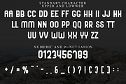 Nothing Santa, a Script Font by FreshTypeINK (Thumbnail 4 of 8)