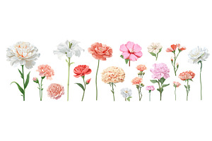 Flower set cartoon. Garden pink red, an Object Illustration by Stock-Smart-Start