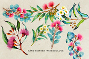 Watercolor Eucalyptus, a Decorative Illustration by Karliefie (Thumbnail 2 of 4)
