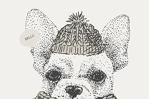 French bulldog in a hat and mittens